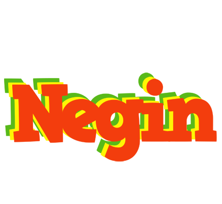 Negin bbq logo