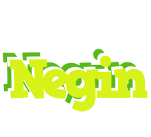 Negin citrus logo