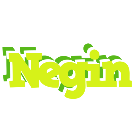 Negin citrus logo