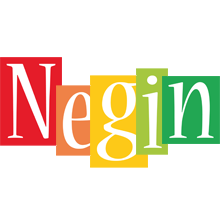 Negin colors logo