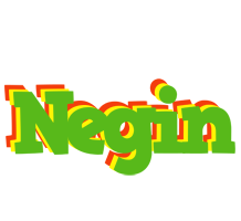 Negin crocodile logo