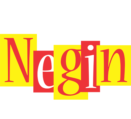 Negin errors logo