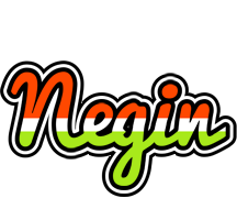 Negin exotic logo