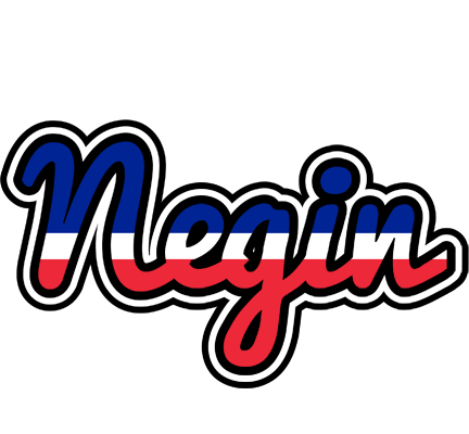 Negin france logo