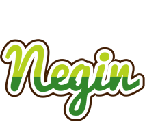 Negin golfing logo