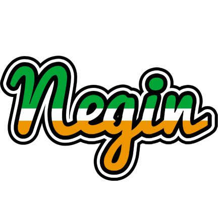 Negin ireland logo