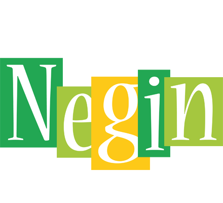 Negin lemonade logo