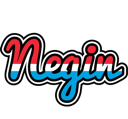 Negin norway logo