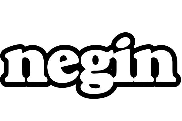 Negin panda logo