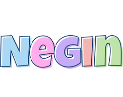 Negin pastel logo