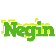 Negin picnic logo