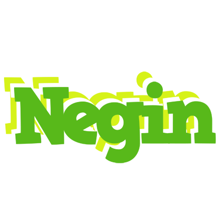 Negin picnic logo