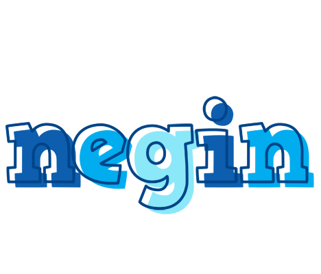 Negin sailor logo