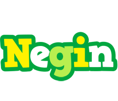 Negin soccer logo