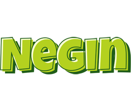 Negin summer logo