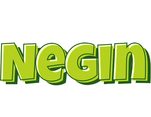 Negin summer logo