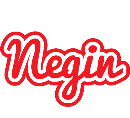 Negin sunshine logo