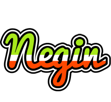 Negin superfun logo