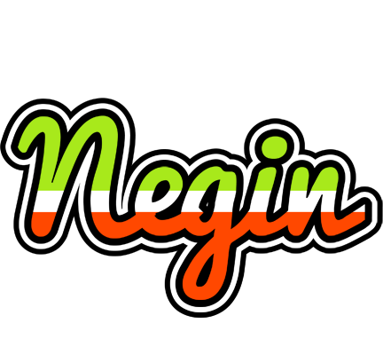 Negin superfun logo