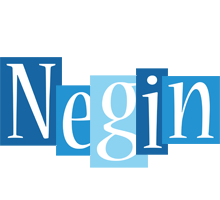 Negin winter logo