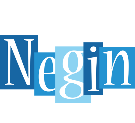 Negin winter logo
