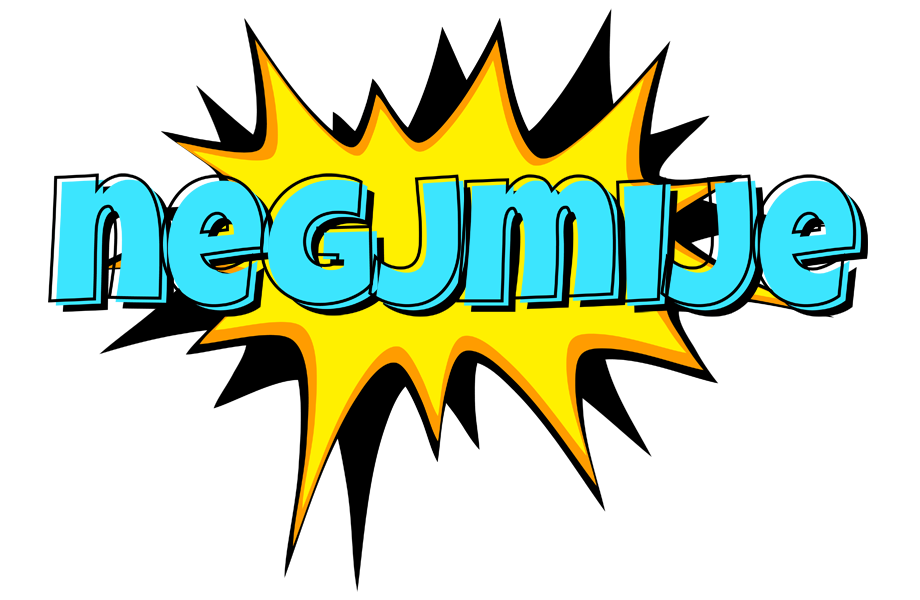 Negjmije indycar logo
