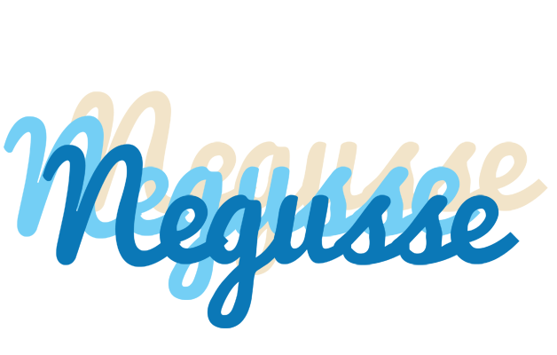 Negusse breeze logo