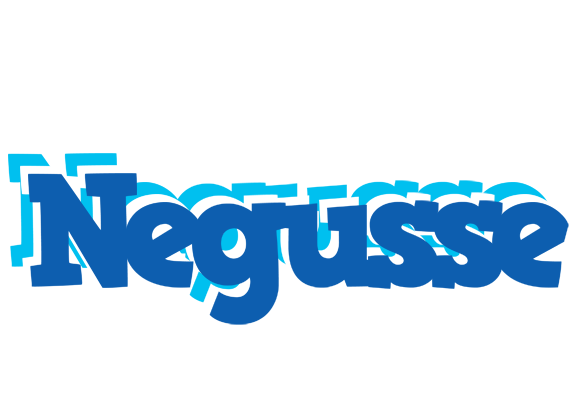 Negusse business logo