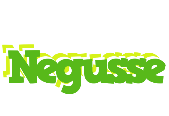 Negusse picnic logo