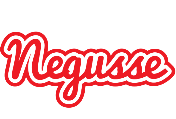 Negusse sunshine logo