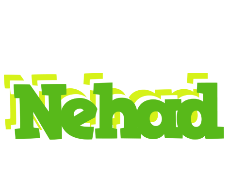 Nehad picnic logo