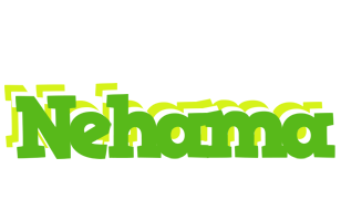 Nehama picnic logo