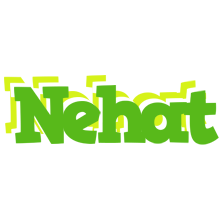 Nehat picnic logo