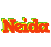 Neida bbq logo