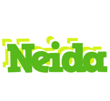 Neida picnic logo