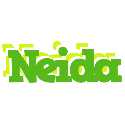 Neida picnic logo