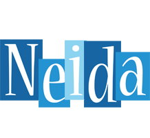 Neida winter logo