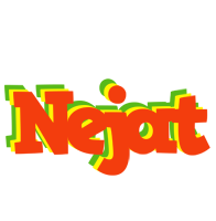 Nejat bbq logo