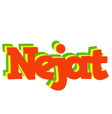 Nejat bbq logo
