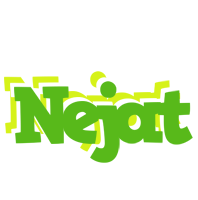 Nejat picnic logo