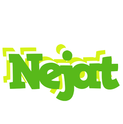 Nejat picnic logo