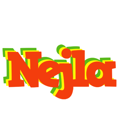 Nejla bbq logo
