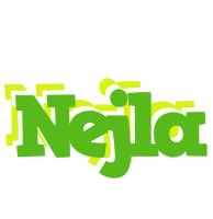 Nejla picnic logo