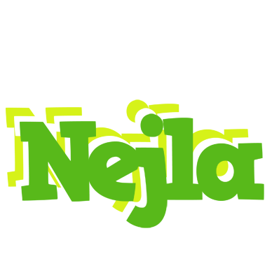 Nejla picnic logo