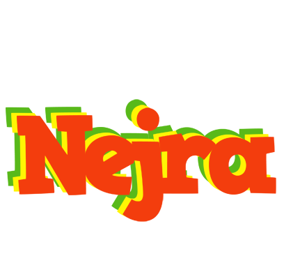 Nejra bbq logo