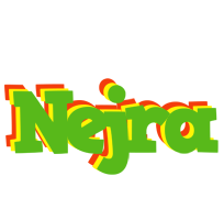 Nejra crocodile logo