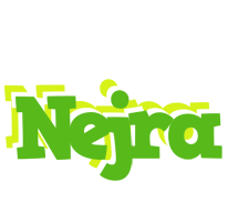 Nejra picnic logo