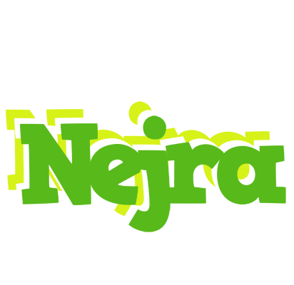 Nejra picnic logo