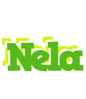 Nela picnic logo