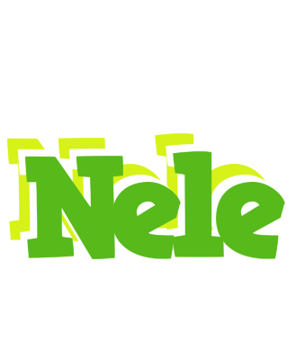 Nele picnic logo